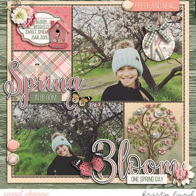 2019 Bloom Sweet One