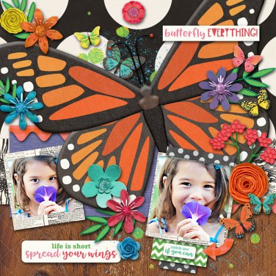 Butterfly Everything