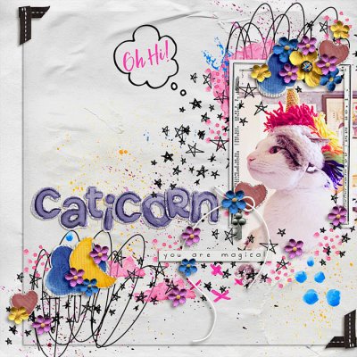 caticorn