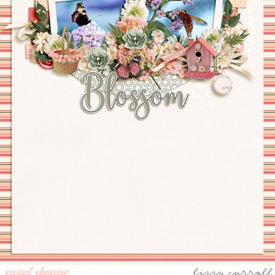 Blossom