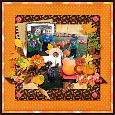 Pumpkin Patch 2015