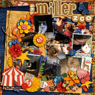 the Miller Zoo