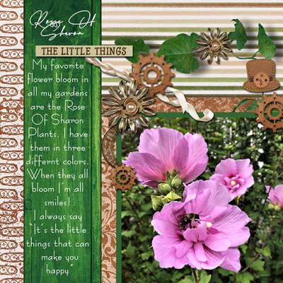Rose Of Sharon