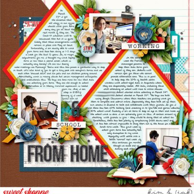 Work & School From Home