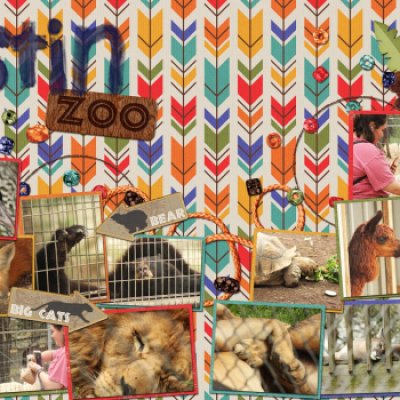 Austin Zoo