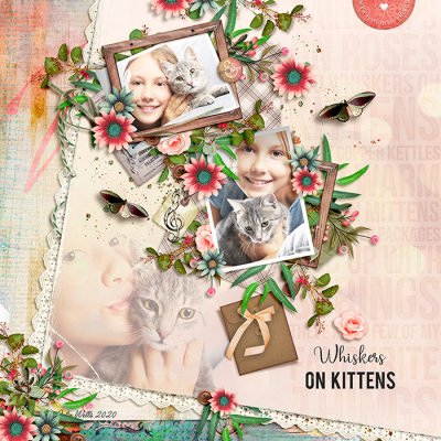 whiskers on kittens