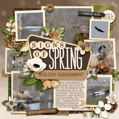 Signs of Spring