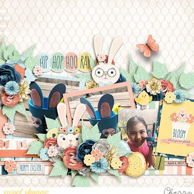 Hip Hop Hoo Ray