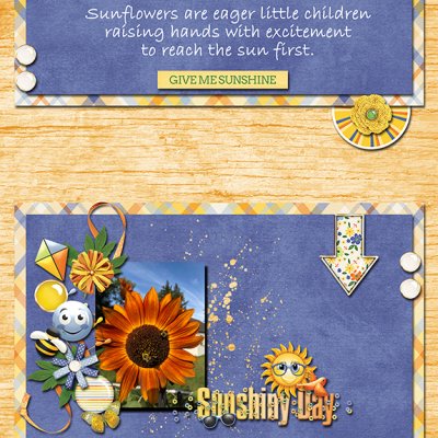 Sunflower