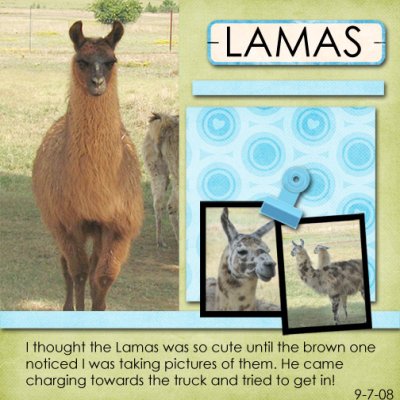 lamas