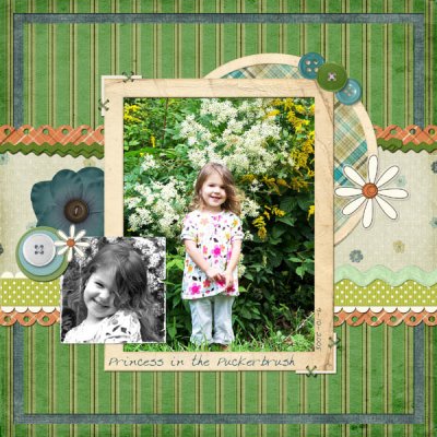 Princess in the Puckerbrush