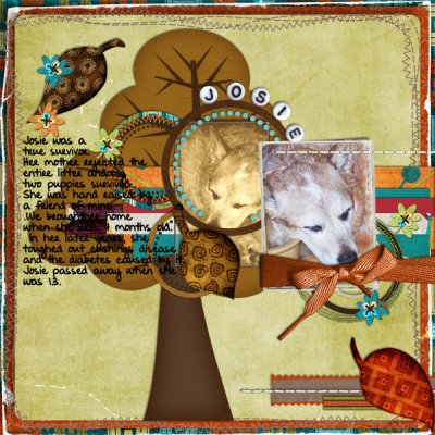 Josie's Autumn