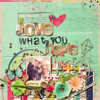 love what you have