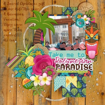 Take me to Paradise