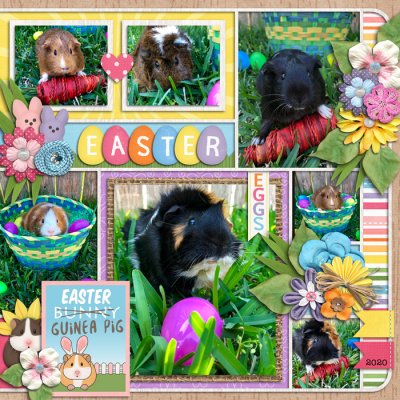 Easter guinea pigs, right