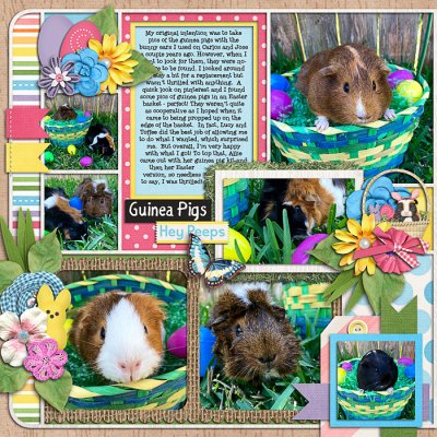Easter guinea pigs, left