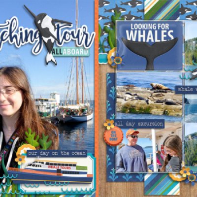 San Juan Whale Watching Day Trip