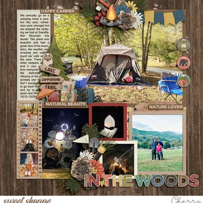 In The Woods
