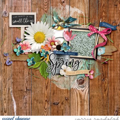 Spring