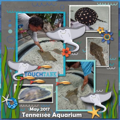 May-2017-Chattanooga-Aquar