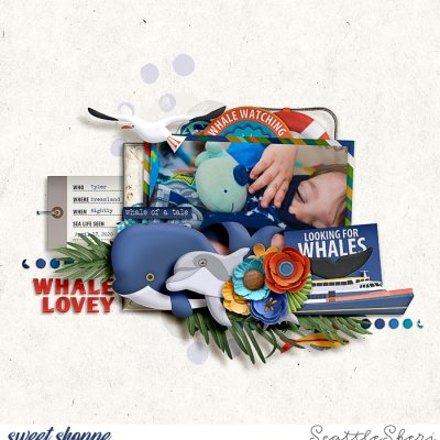 Whale Lovey