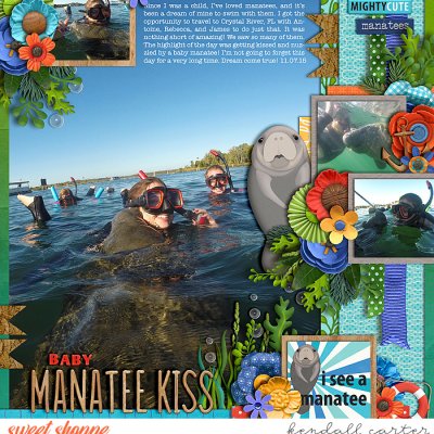 Baby Manatee Kiss
