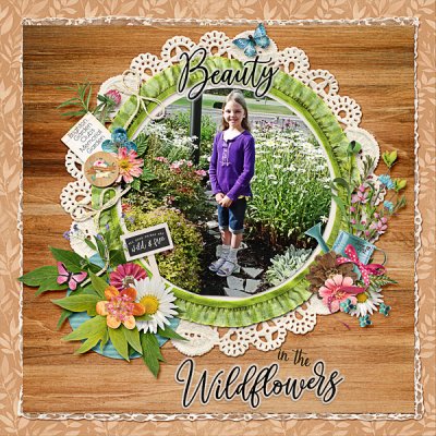 Beauty in the Wildflowers