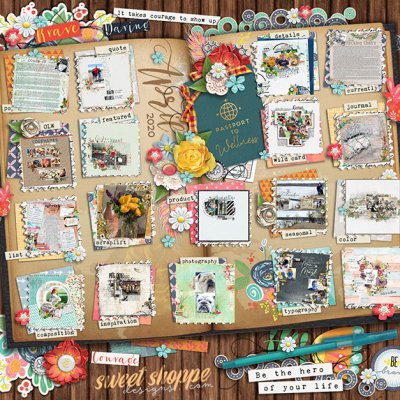 Passport Challenge April 2020