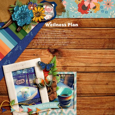 Wellness Plan