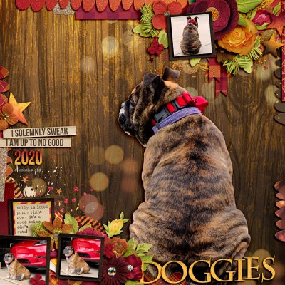Doggies