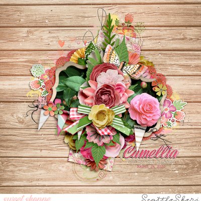 Camellia