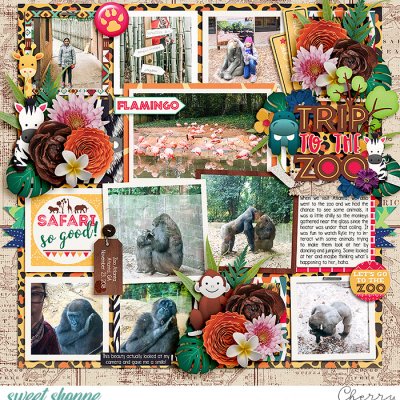 Trip To The Zoo