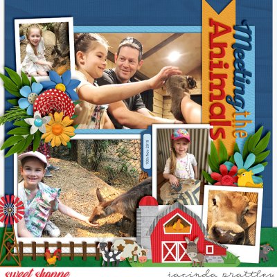 Meeting the animals