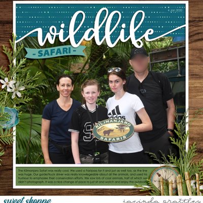 Wildlife Safari 1