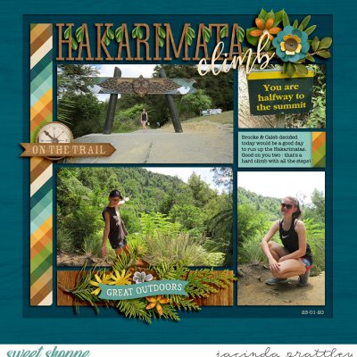 Hakarimata climb