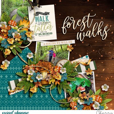 Forest Walks