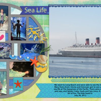 sealife1