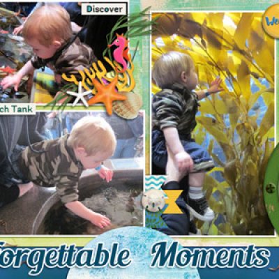 touch pools & kelp forest