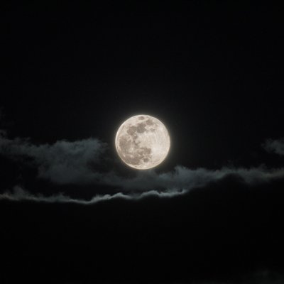 Pink moon