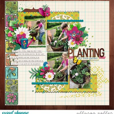 Planting My Little Garden