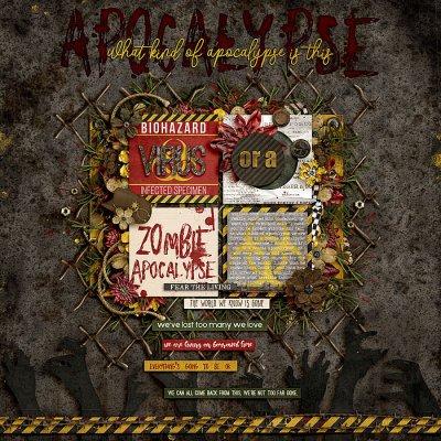 What Kind Of An Apoclypse?
