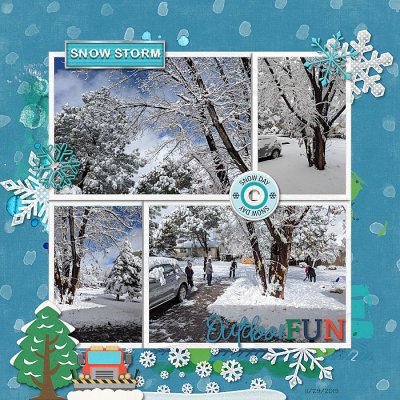 Snowstorm