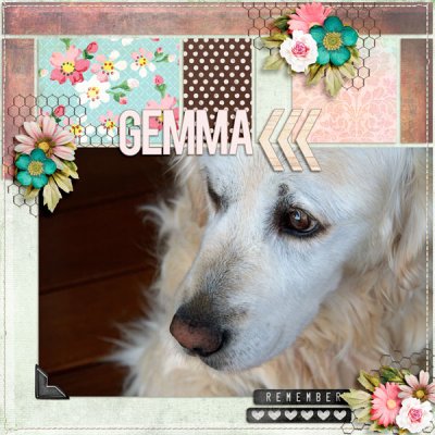 Remember Gemma
