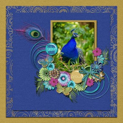 Peacock