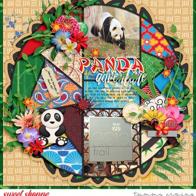 Panda Adventure