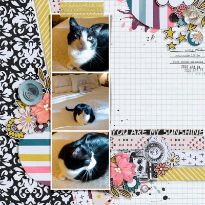You Are My Sunshine