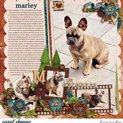 marley