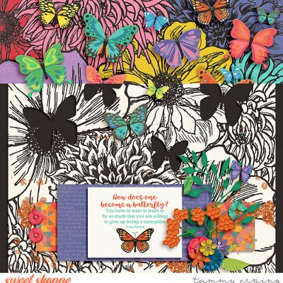 butterfly