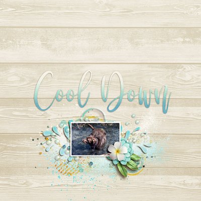 March 2020 Passport to Discovery: 18-Scraplift