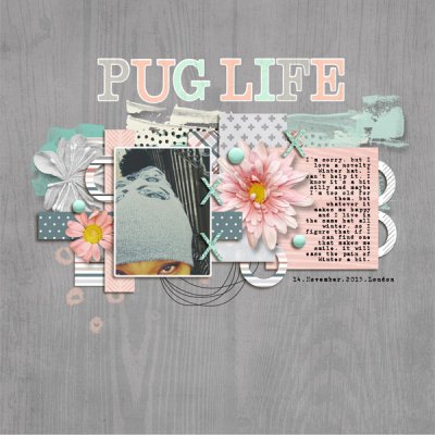 Wildcard: Pug Life